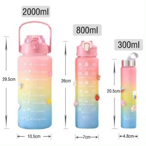 1 × 2L Large Bottle